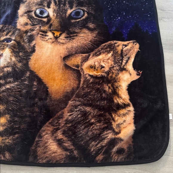 Cat Moon Blanket Large 59x49 inches Soft Cozy Plush Kittens Throw - Picture 3 of 7